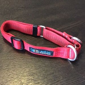 Red Canine Equipment Dog Collar